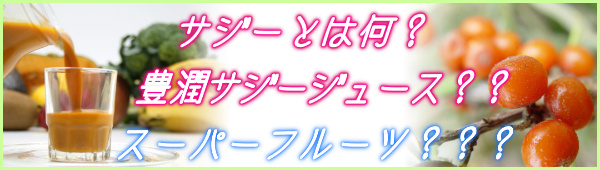 サジーとは何？スーパーフルーツ☆フィネス豊潤サジージュースとは？_1