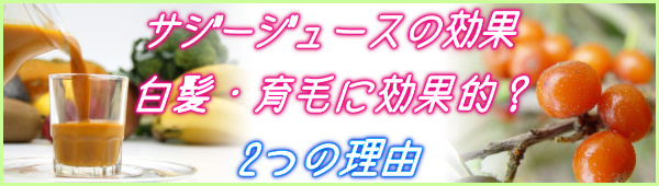 豊潤サジージュースの効果で白髪が減る？育毛？2つの理由_フィネス豊潤サジー_1