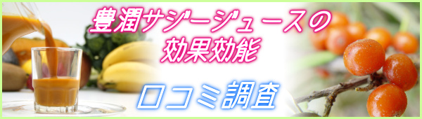 サジージュースの効果効能について口コミを独自に徹底調査!フィネス豊潤サジー_1