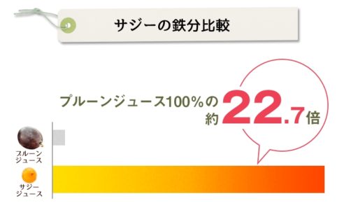 サジージュースが健康美容に良い3つの理由 美肌効果や美白にも期待_鉄分