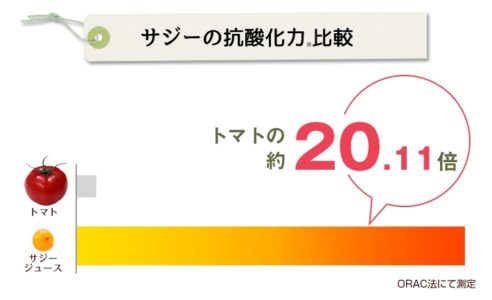 サジージュースが健康美容に良い3つの理由 美肌効果や美白にも期待_抗酸化力