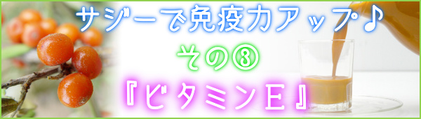 サジーで免疫力アップ200種類以上の栄養素☆サジージュースの効果_ビタミンＥ