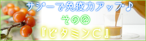 サジーで免疫力アップ200種類以上の栄養素☆サジージュースの効果_ビタミンＣ