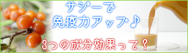 サジーで免疫力アップ200種類以上の栄養素☆サジージュースの効果_３つの成分効果